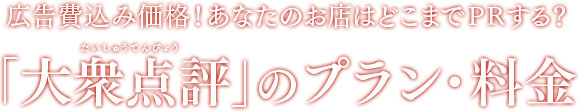 広告費込み価格！あなたのお店はどこまでPRする？「大衆点評（中国表記：大众 点评）」のプラン・料金